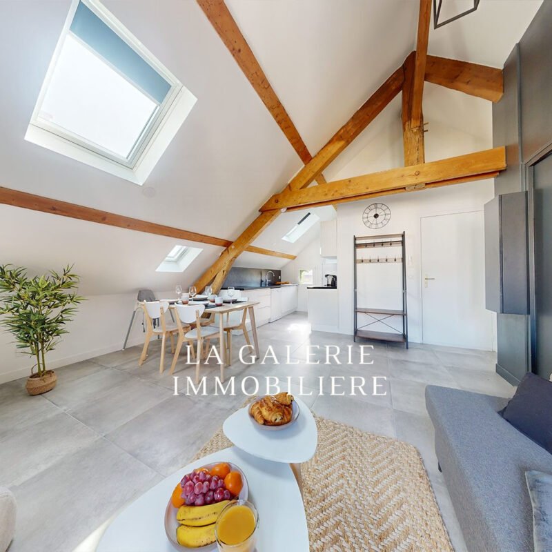 RARE 2 PIÈCES CLIMATISÉ TRÈS BON ÉTAT – SPÉCIAL INVESTISSEUR – RENTABILITÉ 2600 EUROS/MOIS à Argenteuil (95100)